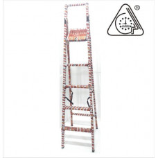 IRON LADDER