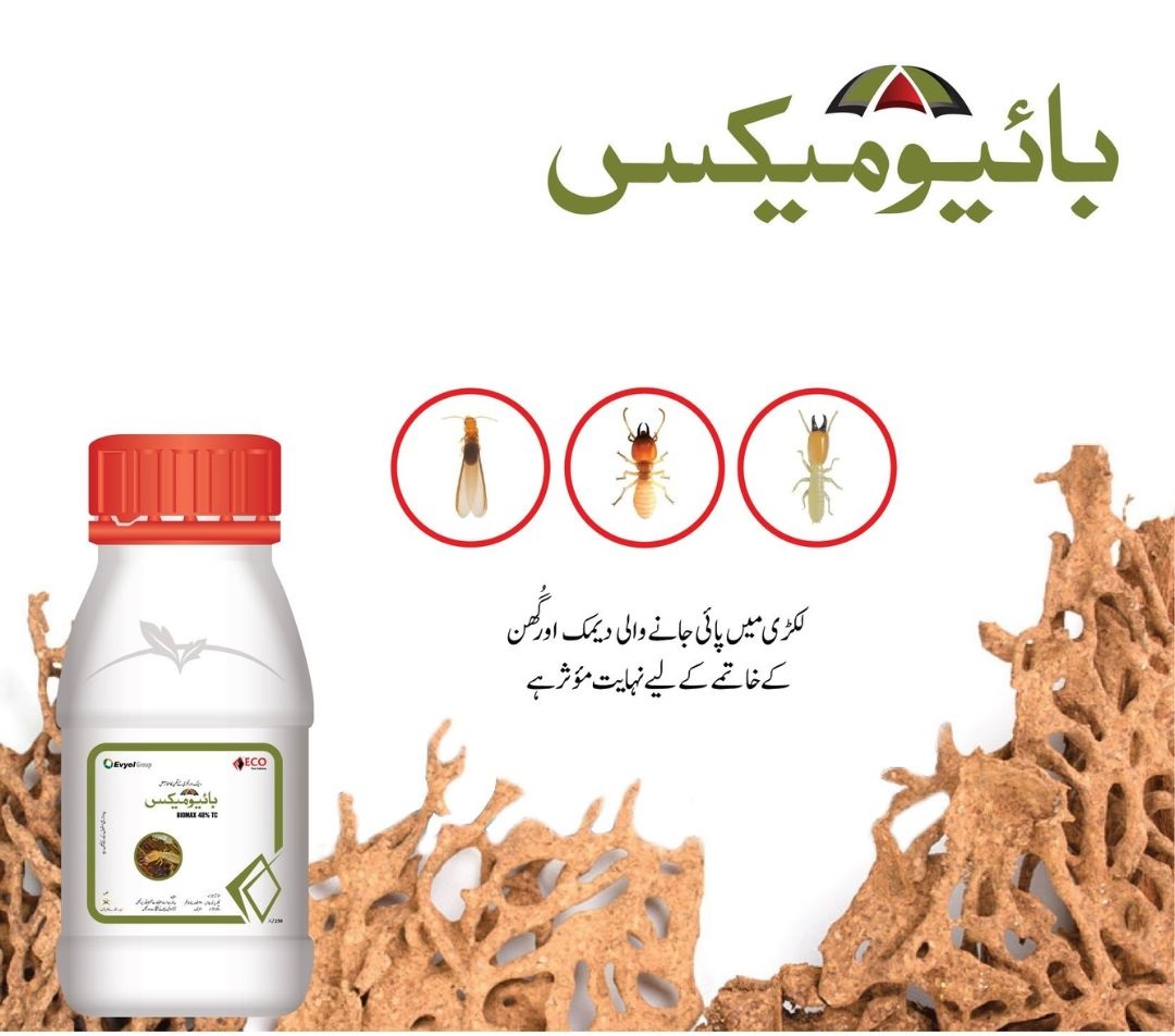 Biomax 48TC Chlorpyrifos Eco Pest Solutions by Evyol Group Termicide Termite Control